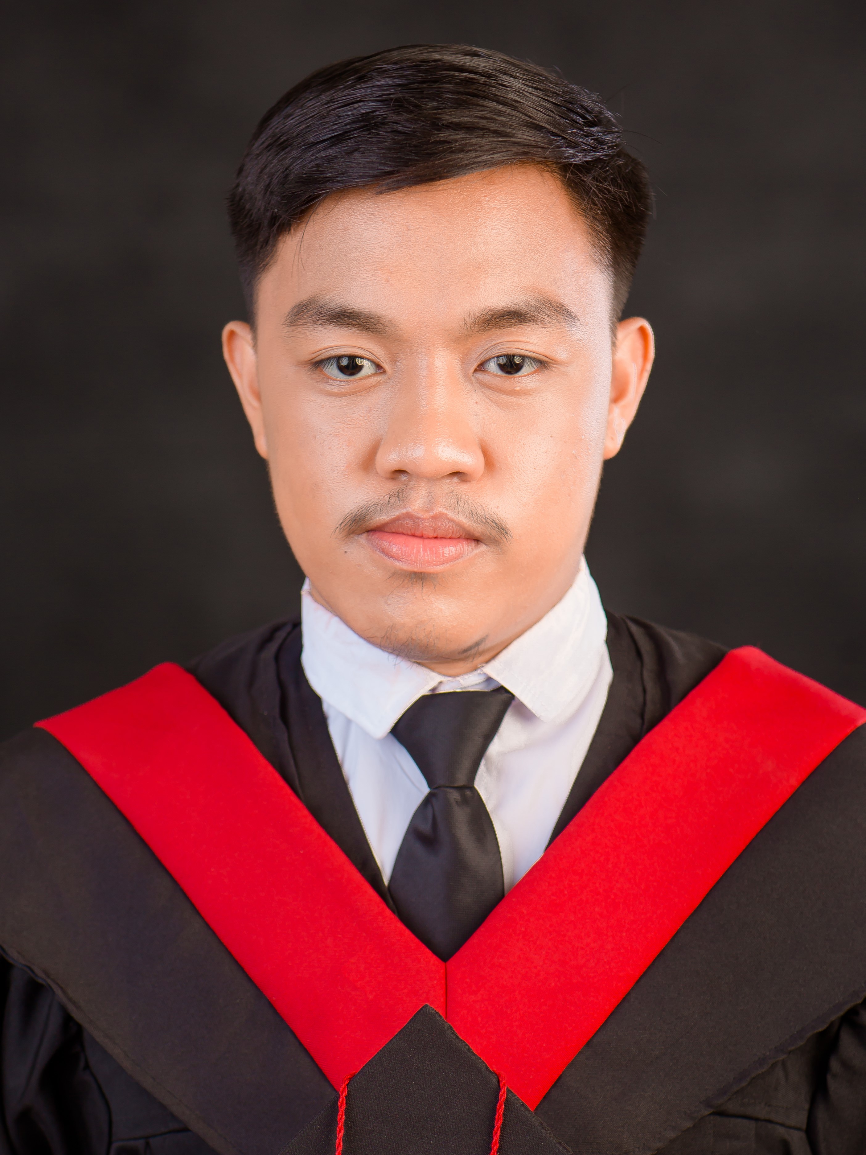 Portfolio picture